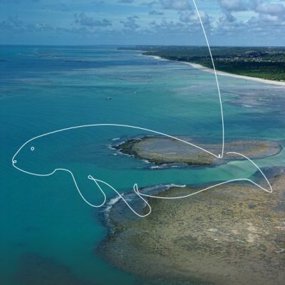 Costa dos corais, um lugar de água azul límpida. Por cima da imagem, um desenho de um animal marinho.