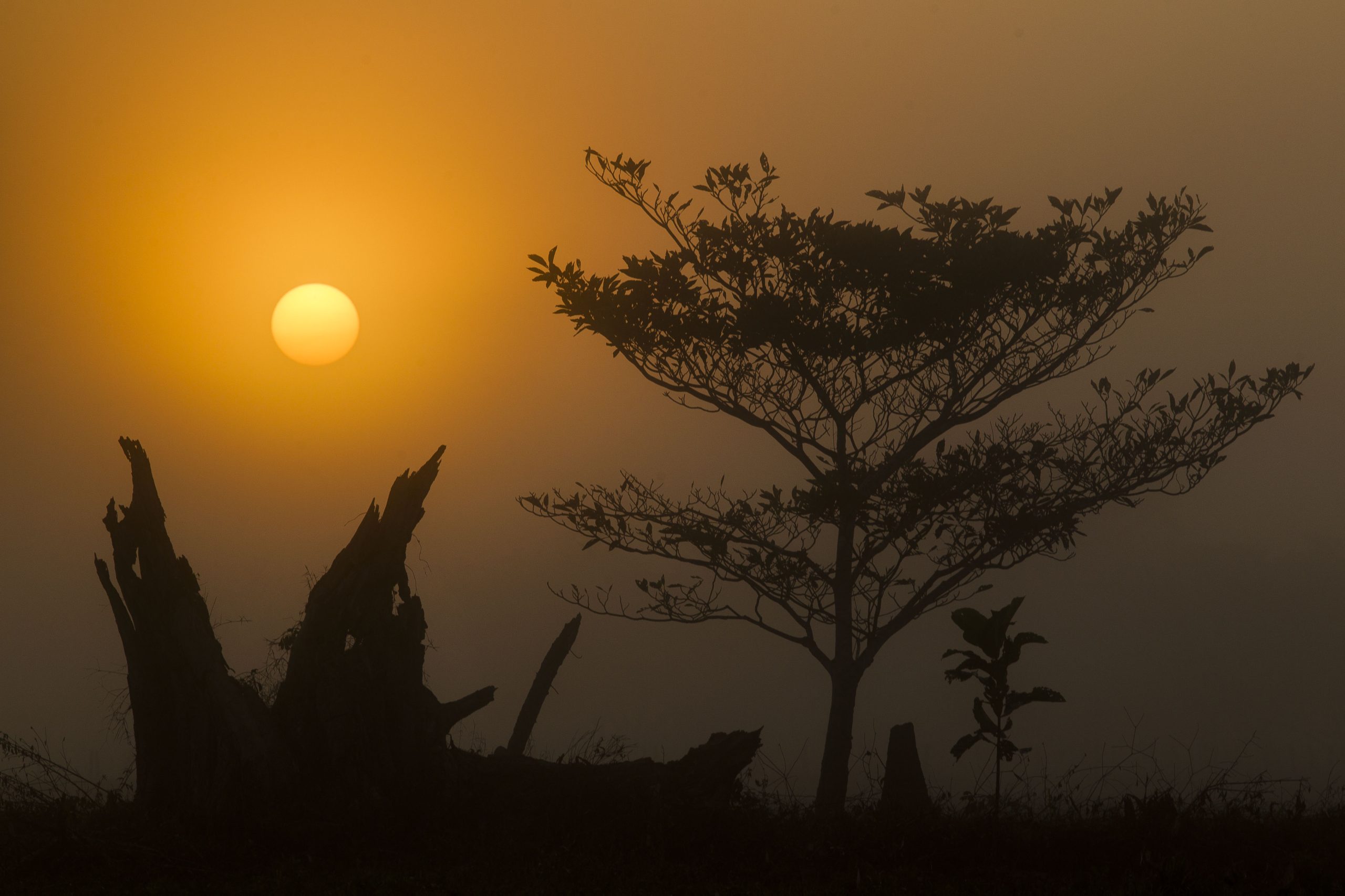 Amanhecer no Pantanal em Poconé, Mato Grosso