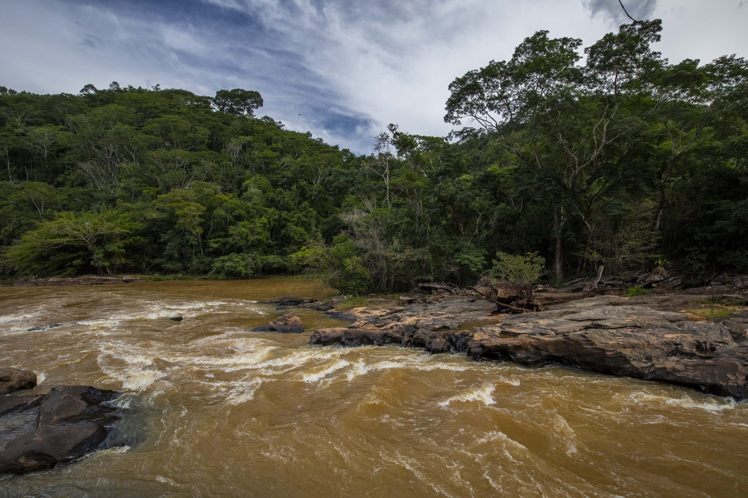 Imagens da RPPN Feliciano Miguel Abdala em Minas Gerais, lar dos Muriquis do Norte e local de estudo da pesquisadora Karen Strier