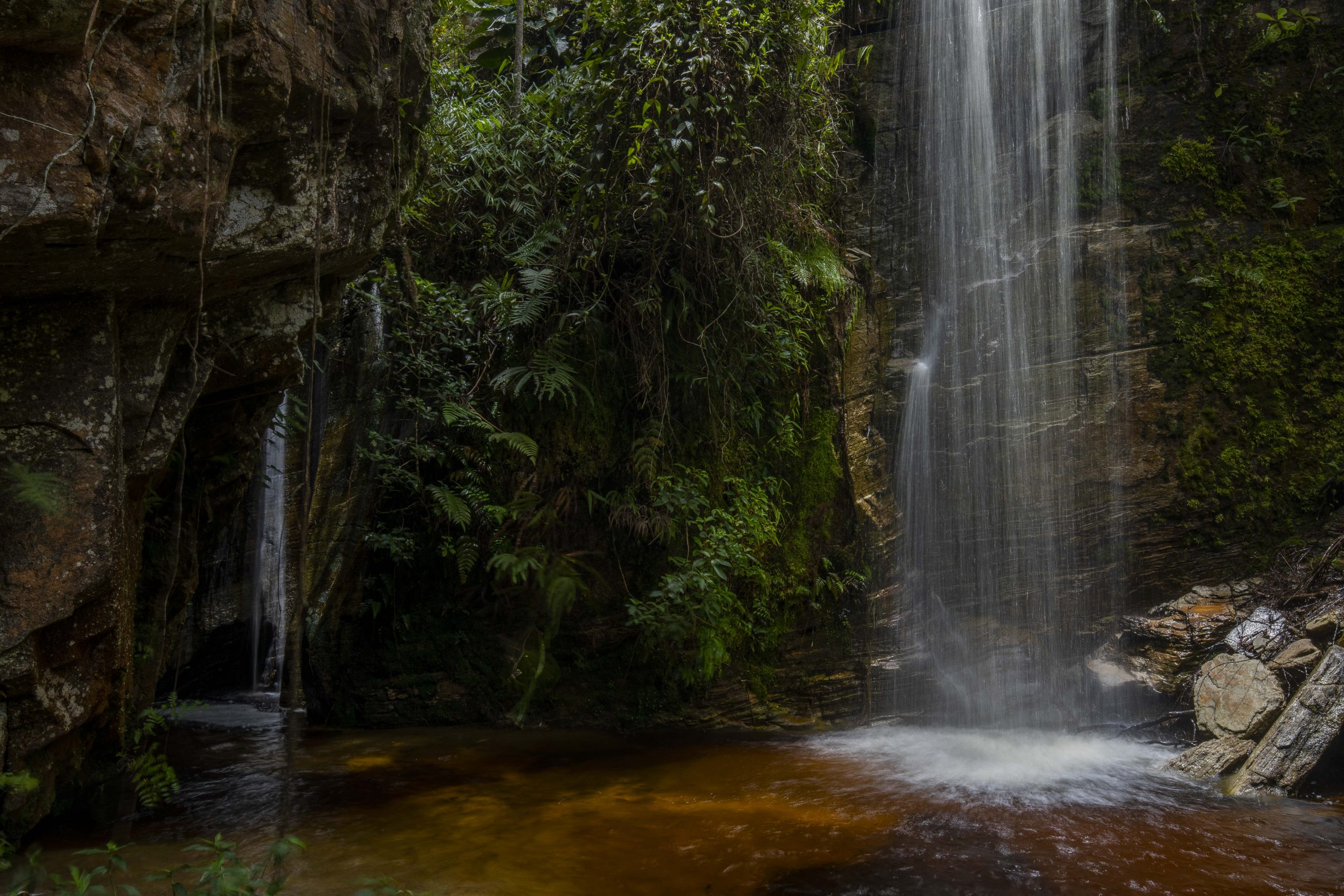 Mata Atlântica na região da Comuna do Ibitipoca em Minas Gerais, onde o desenvolvido um projeto de reintrodução de Muriquis do Norte.